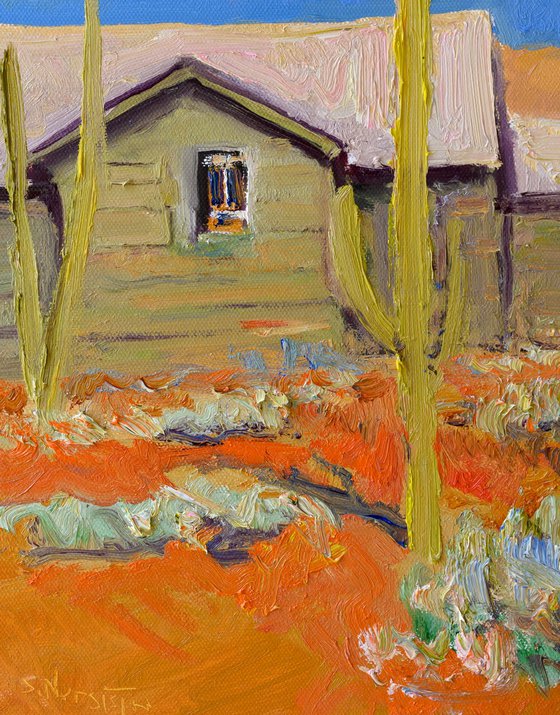 Old Houses and Cactuses