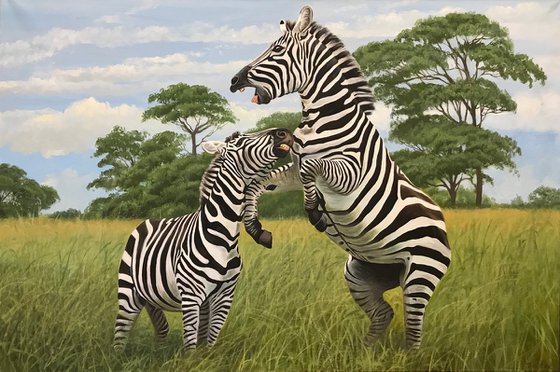 Original oil painting "Two Zebras " -  120x80 cm (2022)