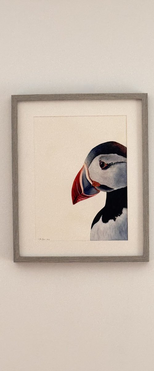 Atlantic Watcher Puffin Watercolour Painting by Irsa Ervin