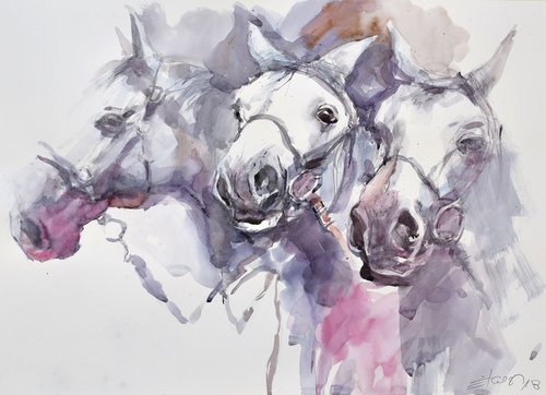 Three horse heads (70x50 ) by Goran Žigolić Watercolors