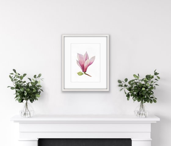 Magnolia blossom. Original watercolor artwork.