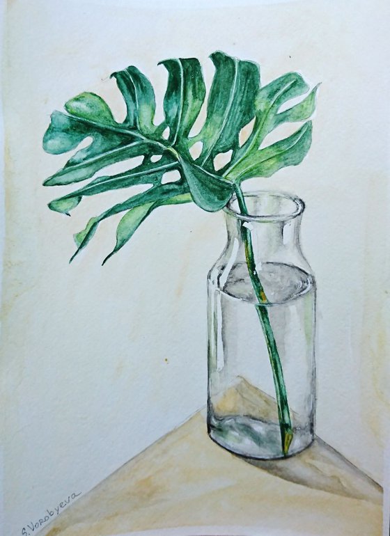 Monstera leaf in a bottle. Still life watercolor painting.