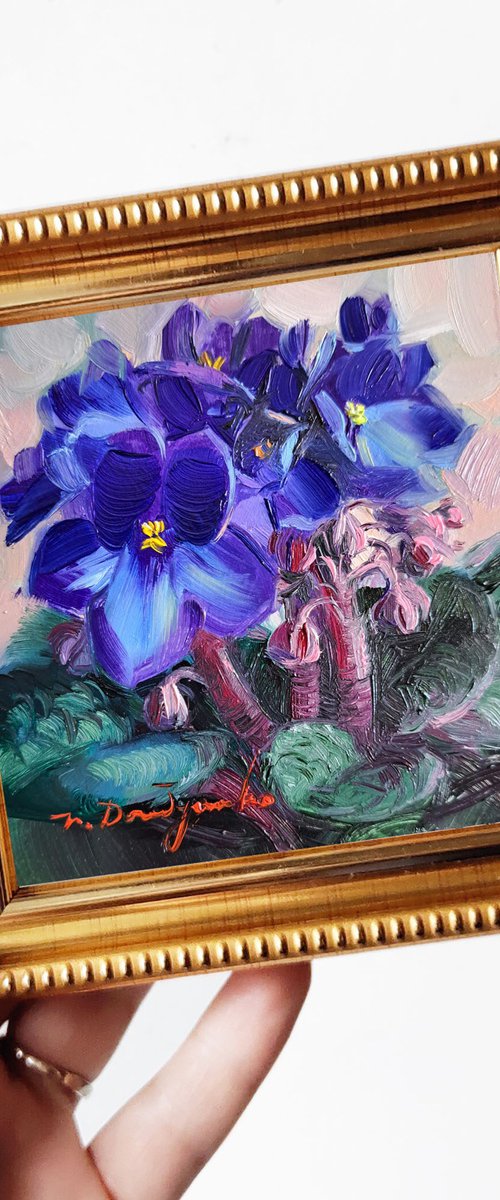 African violet flower by Nataly Derevyanko