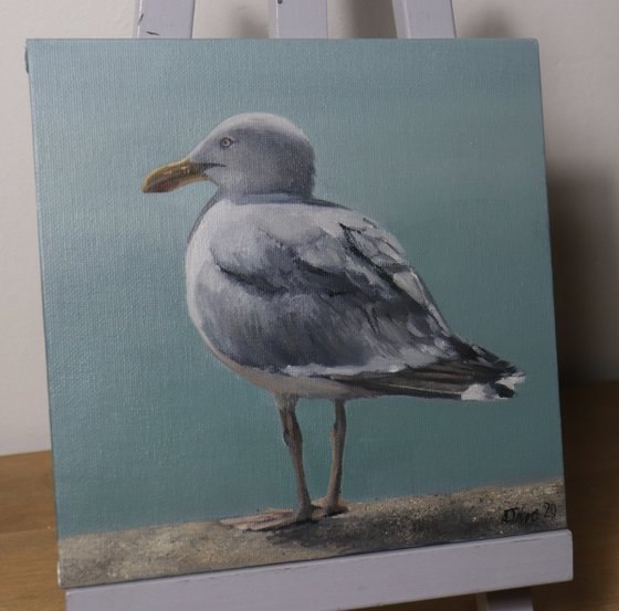 Voices of the Sea Series - Seagull Painting, Bird Art by Alex Jabore