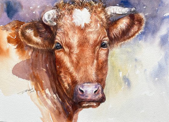 Caramel Cow