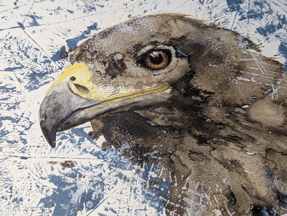 Golden eagle mixed media