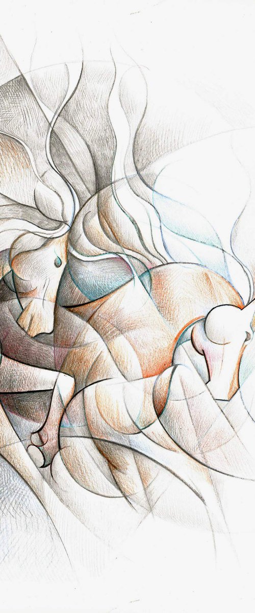 Dynamic study of two running horses by Martin Cambriglia