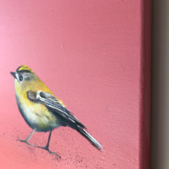 Gold Crest ~ on Rose Gold