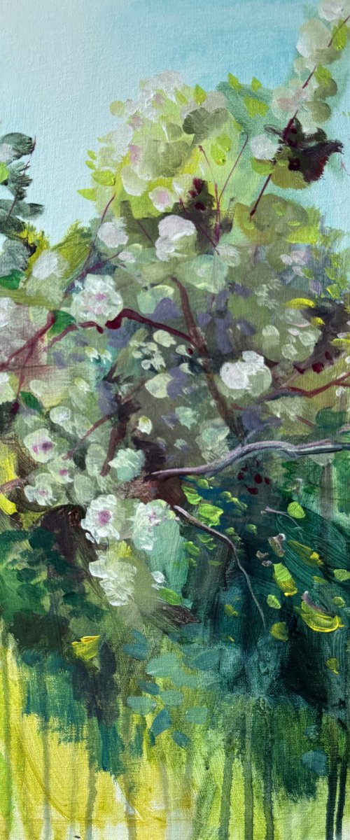 Apple orchard 6 by Ayse McGowan