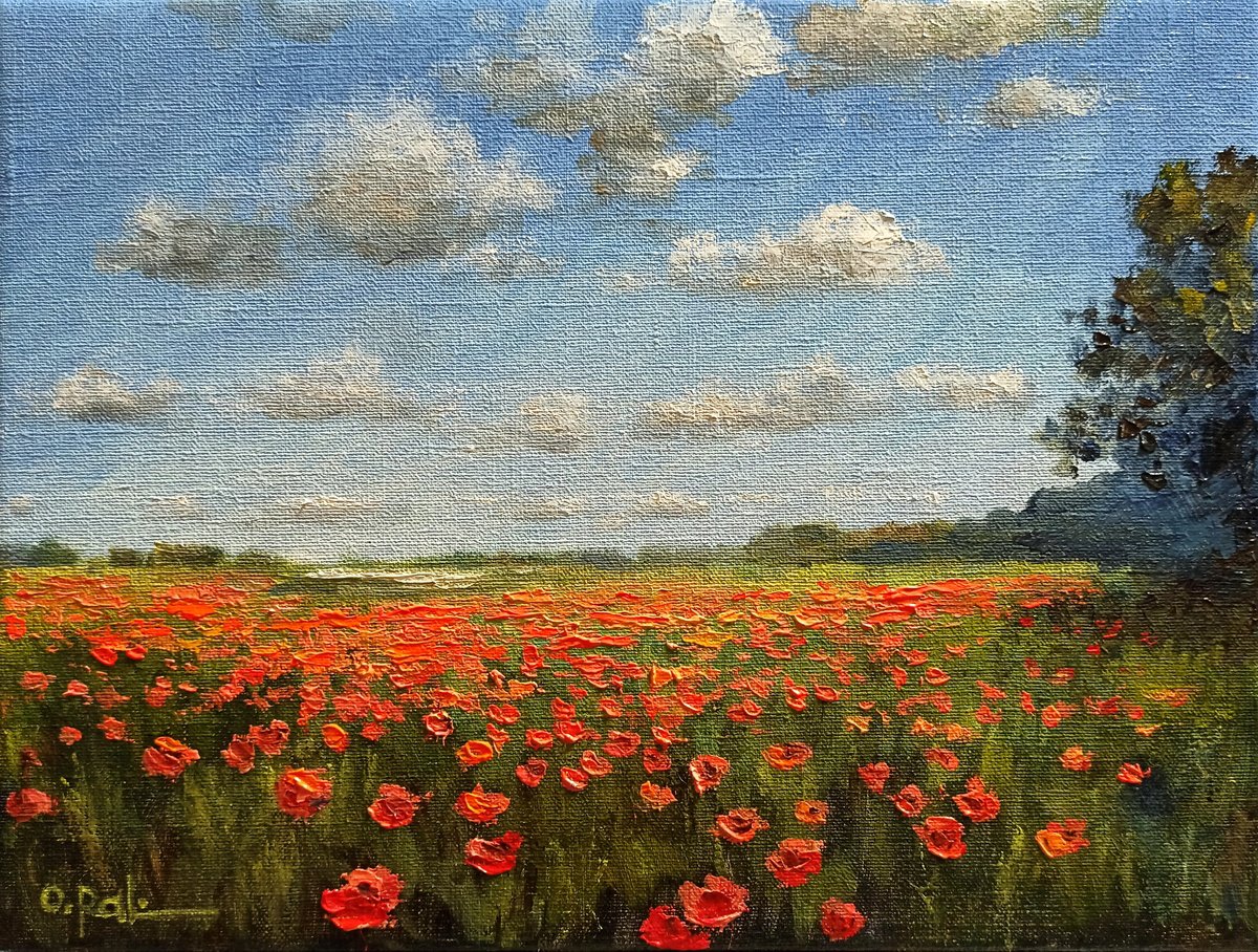Impressionistic Landscape Oil Painting By Oleh Rak, 16 X 12", Poppy Horizon, Original Artwork