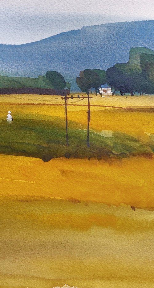 Indian yellow, summer light 1 by Prashant Prabhu