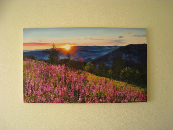 Mountain Meadow Sunset