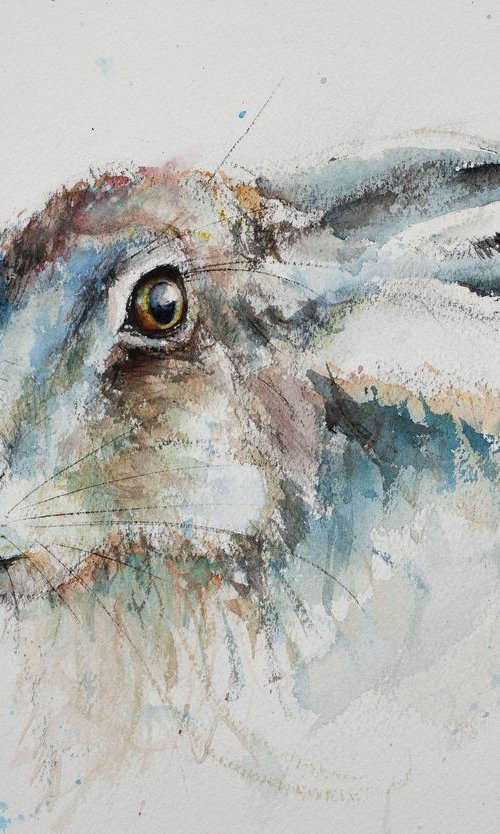 Hare by Tomasz Mikutel