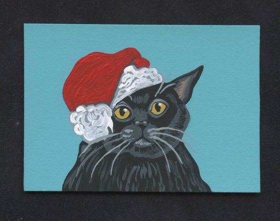 Black Cat Pet Christmas