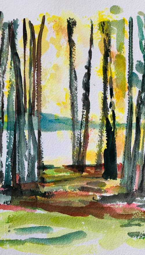 Birch woodland scene by Annie Meier