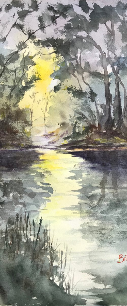 Sunlight on the pond by Brian Tucker