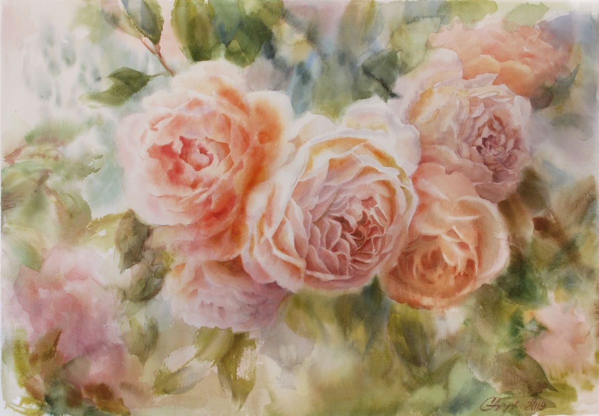 English roses by Svitlana Druzhko