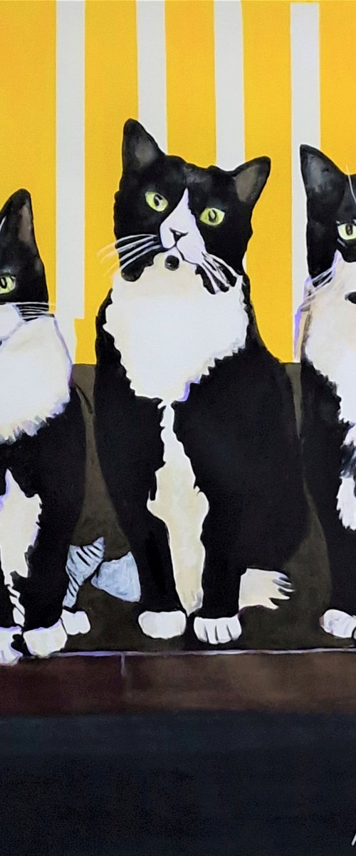 Three cats / 84 x 70 cm by Alexandra Djokic