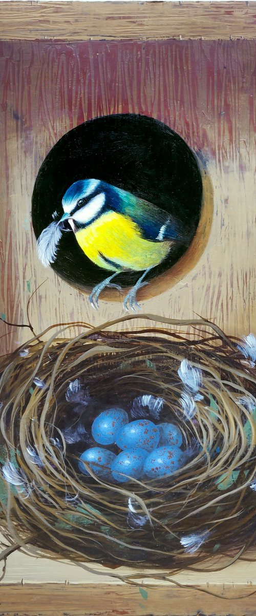 Secret Box - Blue Tit Nest by Ayna Paisley