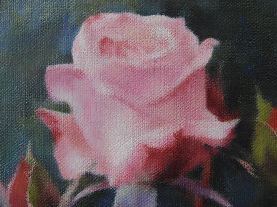 Roses and the Stream of Time