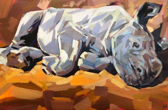 Sleeping Baby Rhino