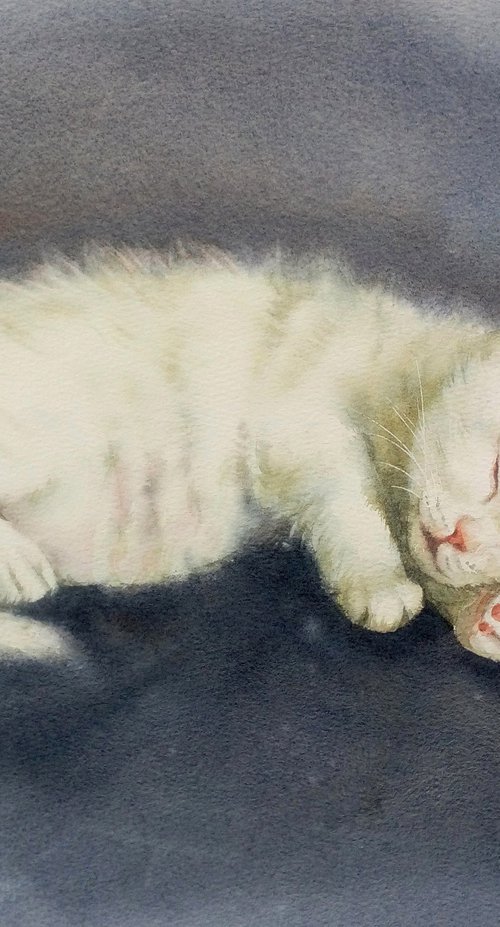 White kitten sleeping  - White by Olga Beliaeva Watercolour