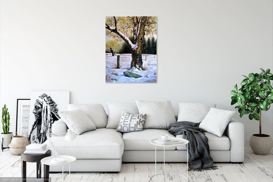 Winter landscape