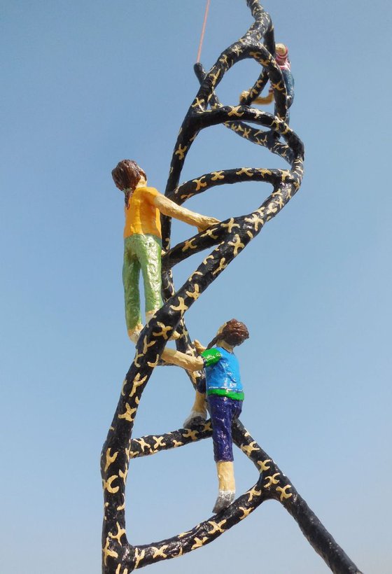 Climbing the DNA Ladder