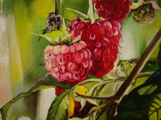 Raspberries. Hyper Realistic Garden Scene