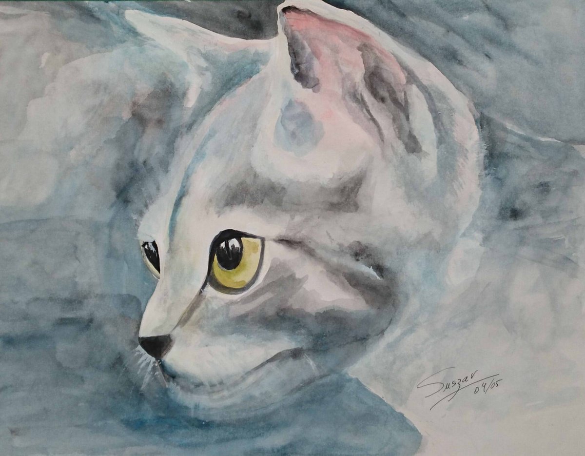 Grey Cat by Susana Zarate