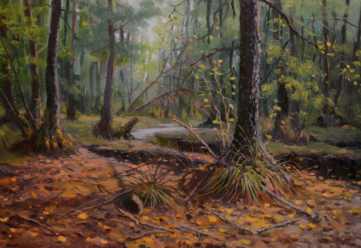 In The Forest Wilderness By Ruslan Kiprych, 16 X 12, Artwork For Sale On Artfinder
