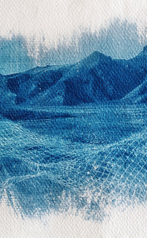 Entangled Landscapes / cyanotype print by Delnara El