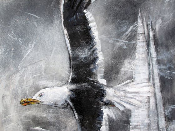 Black Backed Gull, The Shard