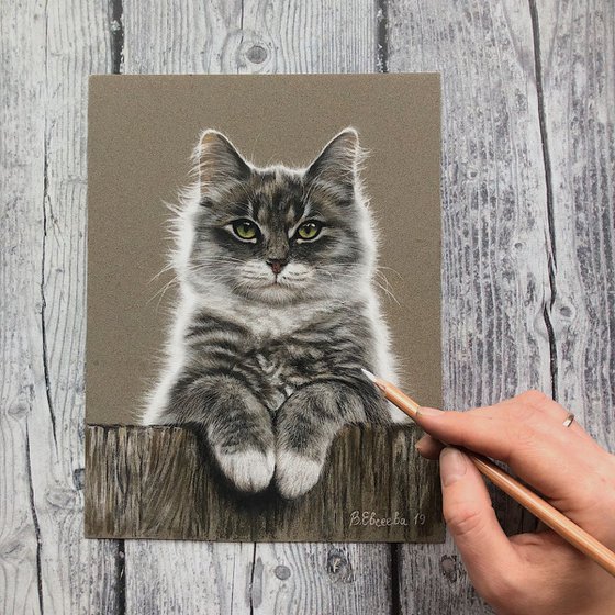 A Kitten Portrait