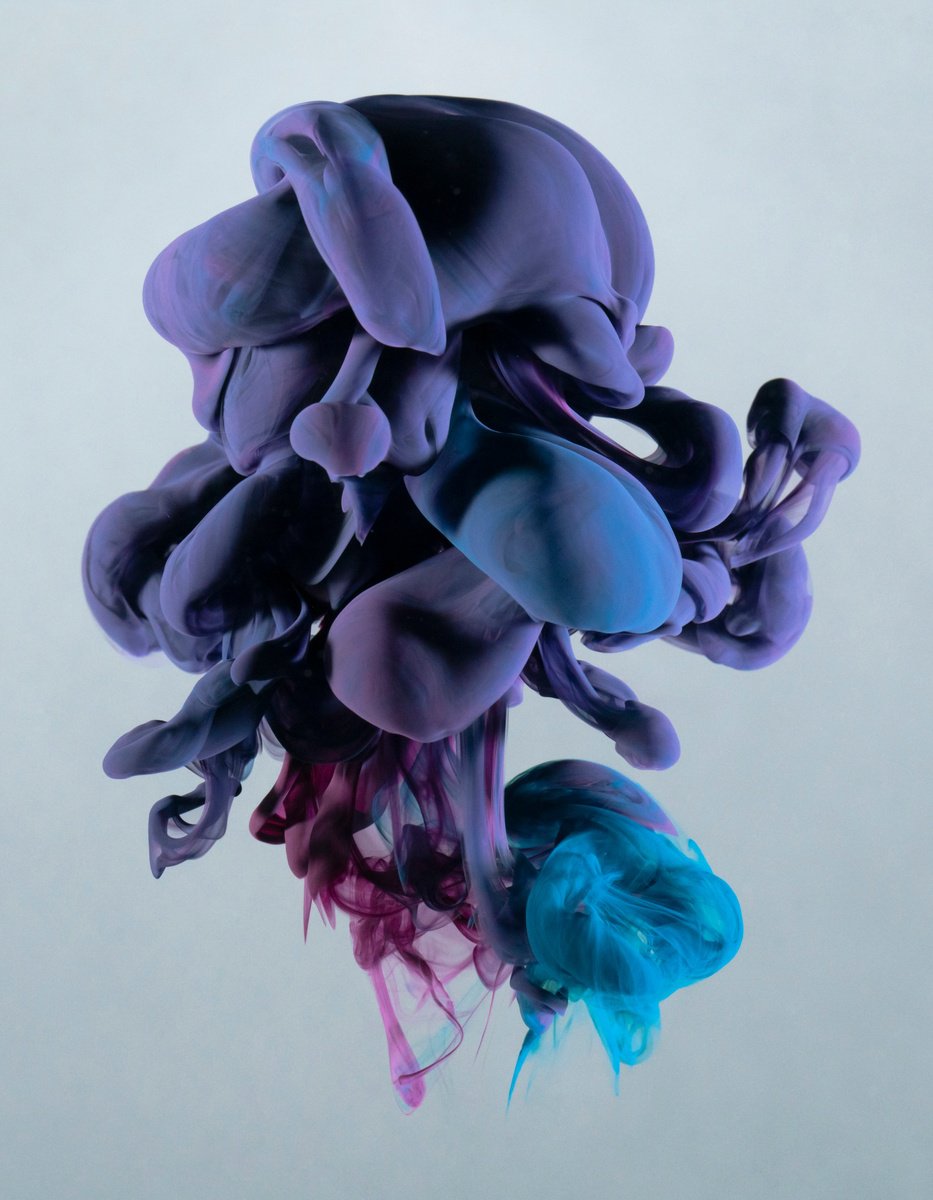 Abstract Photograph By Robert Kohlhuber, 14 X 18", Visitors I, Original Artwork