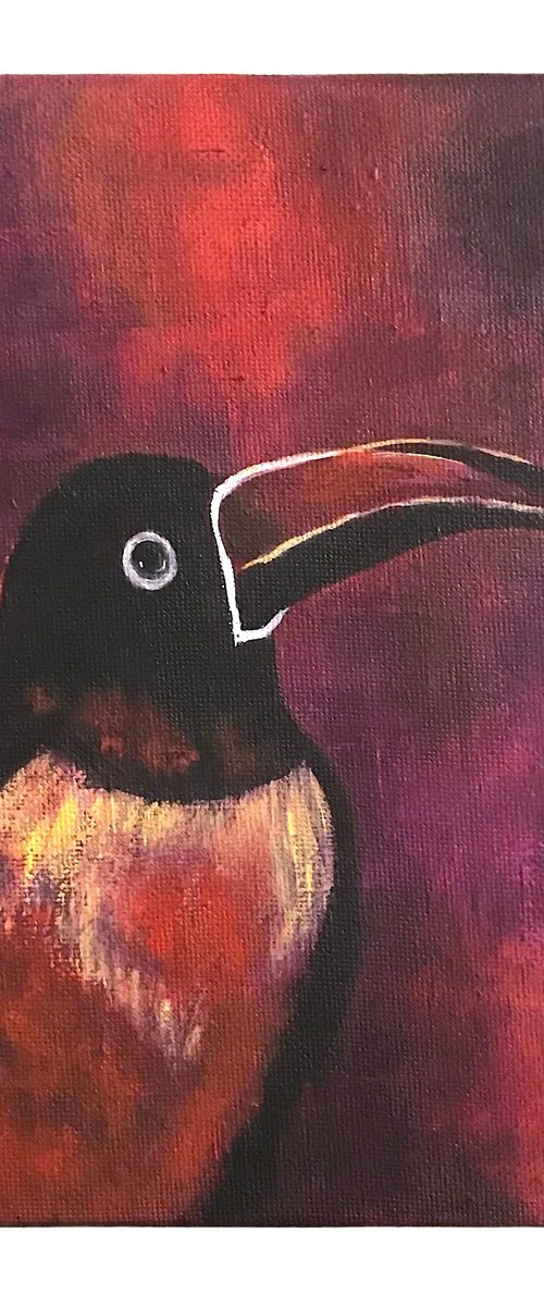 TOUCAN by Eleanor Gabriel