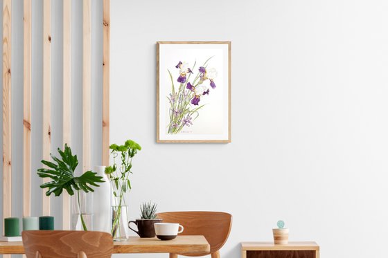 Small and large purple irises on a white background / ORIGINAL watercolor 15x22 (38x56cm)