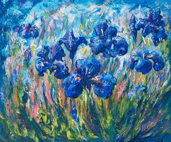 Countryside Irises