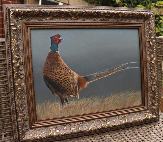 Pheasant Painting, Bird watchers artwork, Game Birds Framed Art, Garden Animals, Original not Print, Gun Dog, Hunting