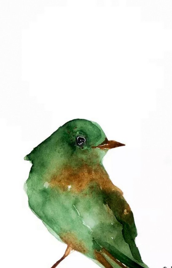 Birds in Watercolor. Set of 3.