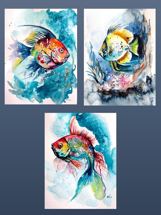 Fish collection