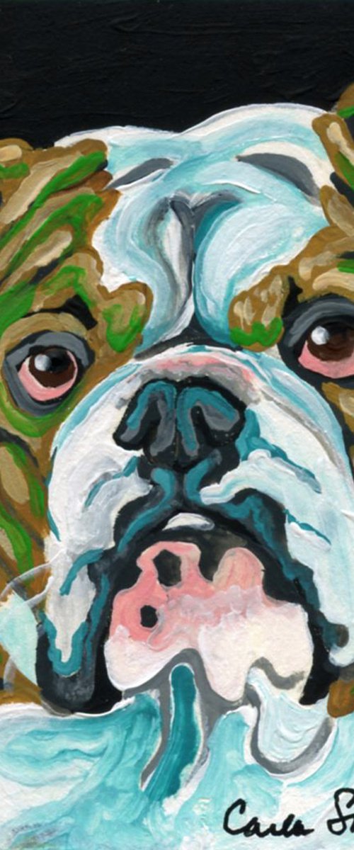 English Bulldog by Carla Smale