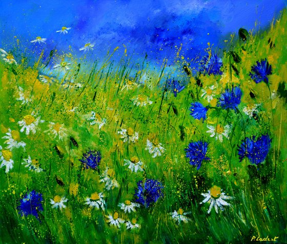 Cornflowers and daisies