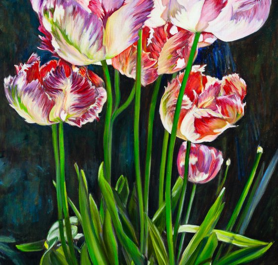 Tulips In The Sunlight