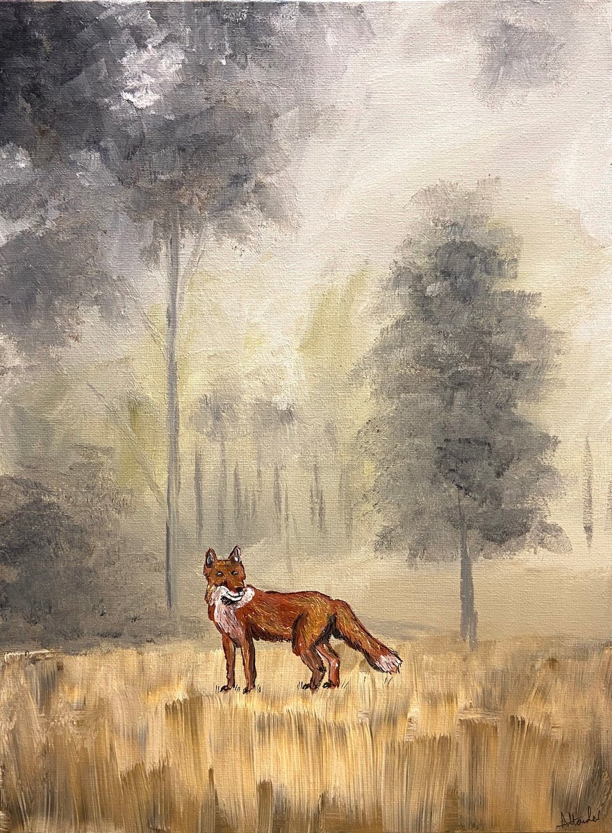 Mysterious Fox by Aisha Haider