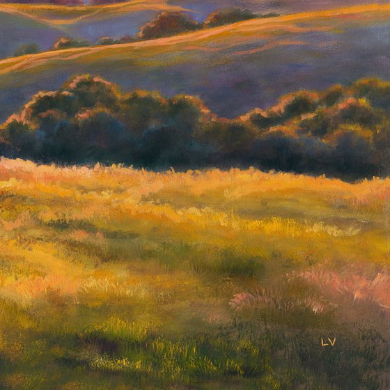California hills at sunset
