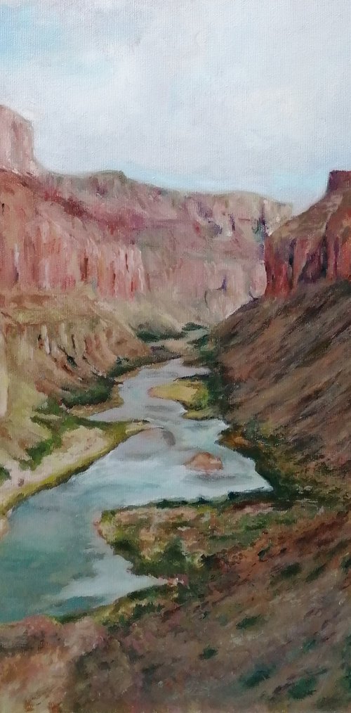 Grand Canyon by Radosveta Zhelyazkova