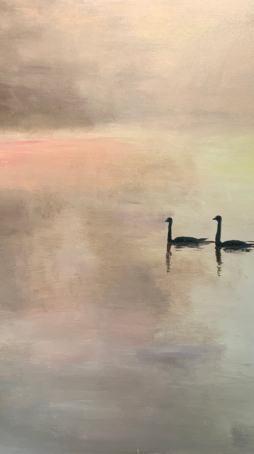 Two Swans At Dawn by Ryan Louder