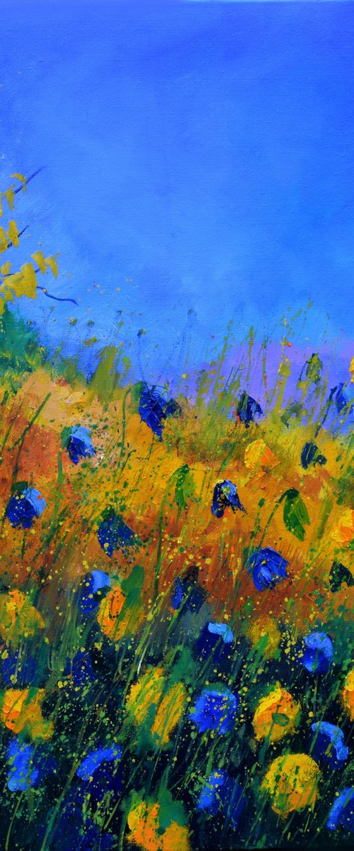 Yellow and blue meadow -8823 by Pol Henry Ledent