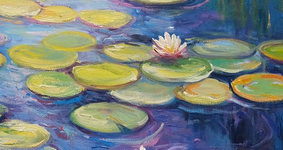 Water Lilies Pond